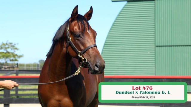 Lot 476