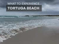 Tortuga Bay - What to see in Santa Cruz - Galapagos - Ecuador