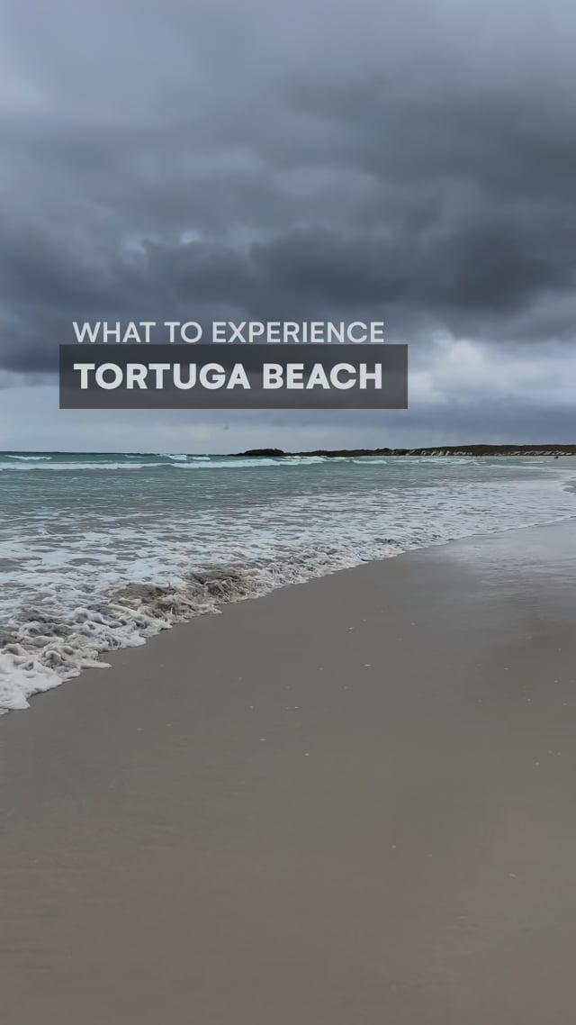 Tortuga Bay - What to see in Santa Cruz - Galapagos - Ecuador