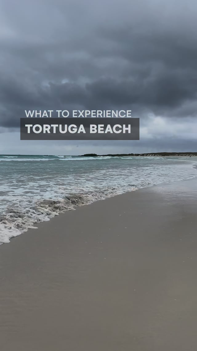 Tortuga Bay - What to do in Santa Cruz - Galapagos - Ecuador