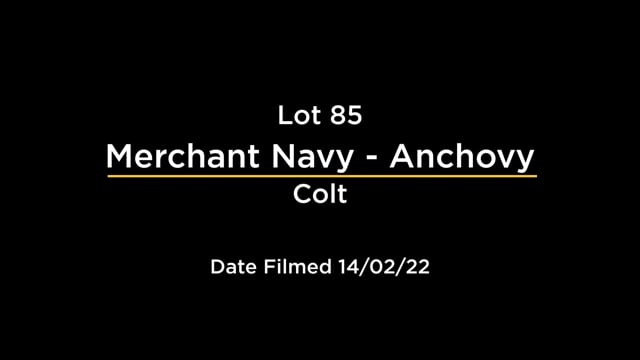 Lot 85