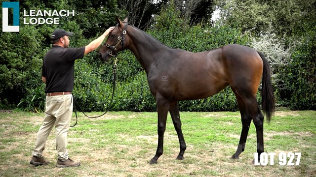 Lot 972