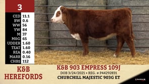 Lot #3 - K&B 903 EMPRESS 109J