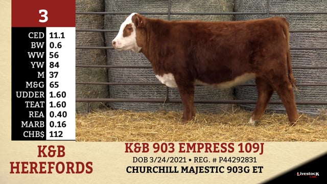 Lot #3 - K&B 903 EMPRESS 109J