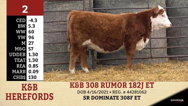 Lot #2 - K&B 308 RUMOR 182J ET