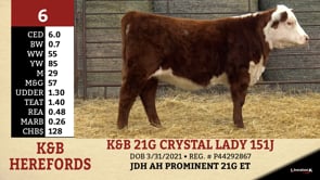 Lot #6 - K&B 21G CRYSTAL LADY 151J