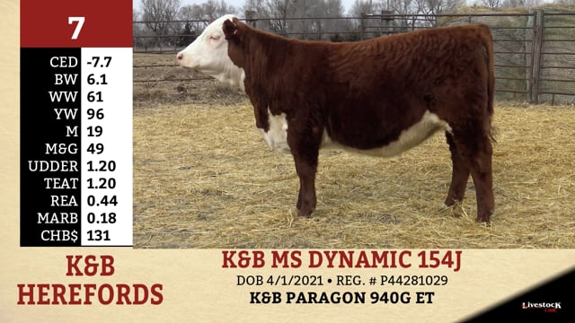 Lot #7 - K&B MS DYNAMIC 154J