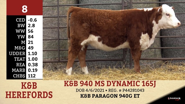 Lot #8 - K&B 940 MS DYNAMIC 165J