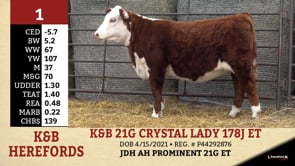Lot #1 - K&B 21G CRYSTAL LADY 178J ET