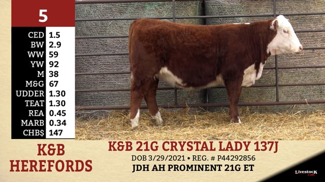 Lot #5 - K&B 21G CRYSTAL LADY 137J