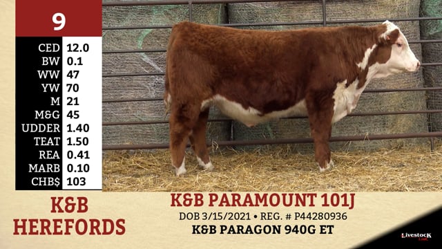 Lot #9 - K&B PARAMOUNT 101J
