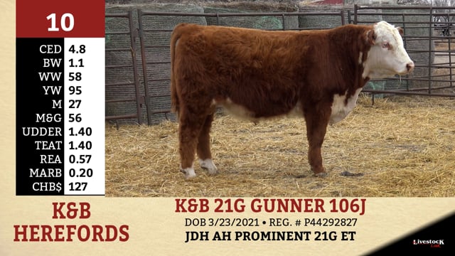 Lot #10 - K&B 21G GUNNER 106J