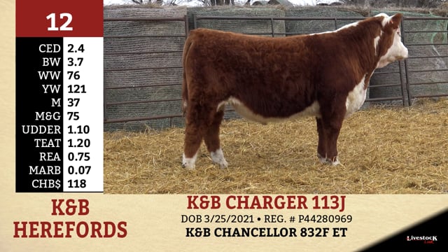 Lot #12 - K&B CHARGER 113J