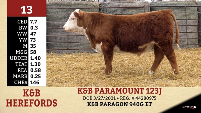 Lot #13 - K&B PARAMOUNT 123J