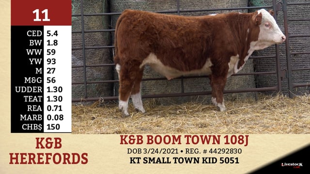 Lot #11 - K&B BOOM TOWN 108J