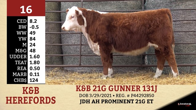 Lot #16 - K&B 21G GUNNER 131J