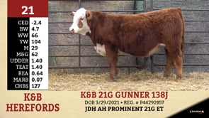 Lot #21 - K&B 21G GUNNER 138J