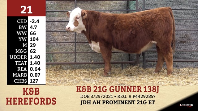 Lot #21 - K&B 21G GUNNER 138J
