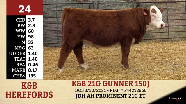 Lot #24 - K&B 21G GUNNER 150J