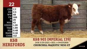 Lot #22 - K&B 903 IMPERIAL 139J