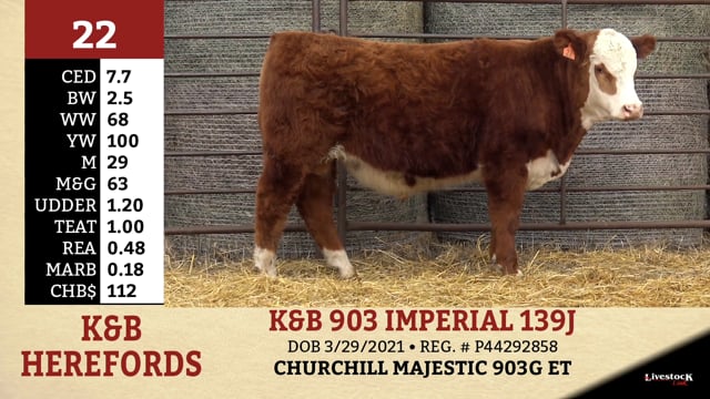 Lot #22 - K&B 903 IMPERIAL 139J
