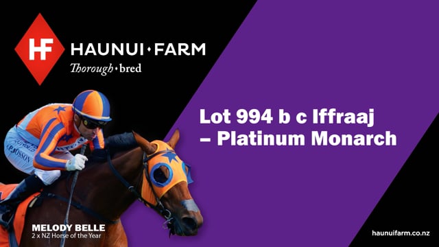 Lot 994