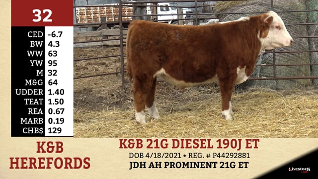 Lot #32 - K&B 21G DIESEL 190J ET