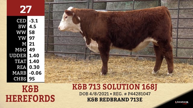 Lot #27 - K&B 713 SOLUTION 168J