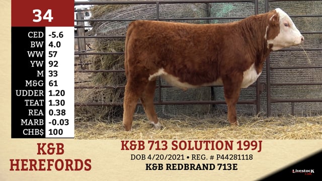 Lot #34 - K&B 713 SOLUTION 199J