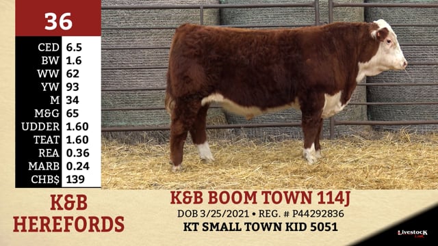 Lot #36 - K&B BOOM TOWN 114J
