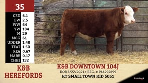Lot #35 - K&B DOWNTOWN 104J