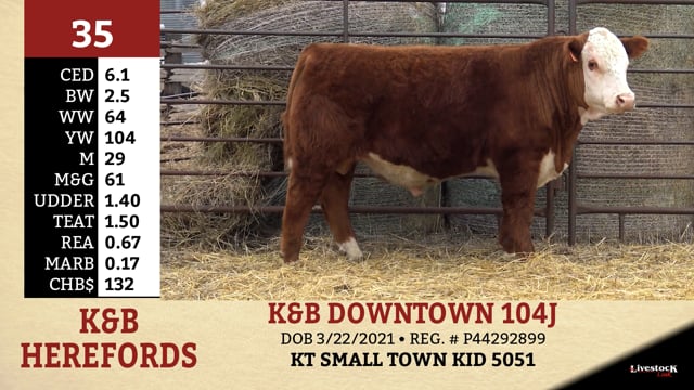 Lot #35 - K&B DOWNTOWN 104J