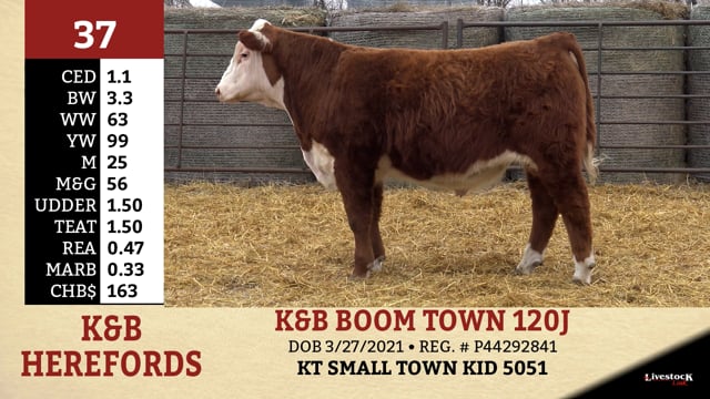 Lot #37 - K&B BOOM TOWN 120J