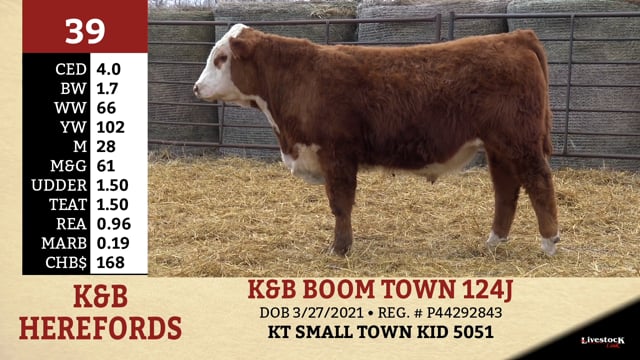 Lot #39 - K&B BOOM TOWN 124J