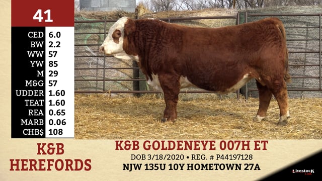 Lot #41 - K&B GOLDENEYE 007H ET