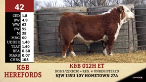 Lot #42 - K&B 012H ET