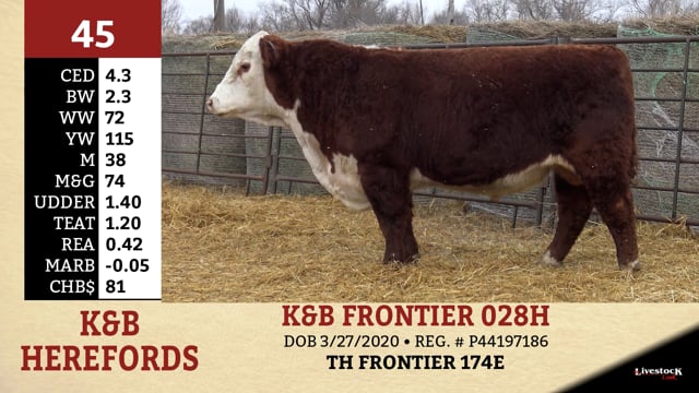 Lot #45 - K&B FRONTIER 028H