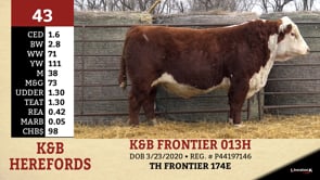 Lot #43 - K&B FRONTIER 013H