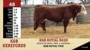 Lot #48 - K&B ROYAL 061H