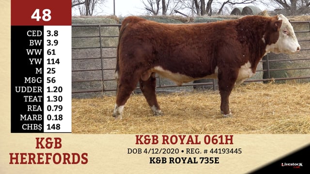Lot #48 - K&B ROYAL 061H