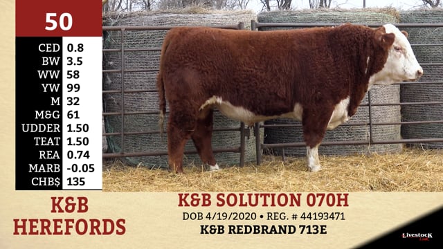 Lot #50 - K&B SOLUTION 070H