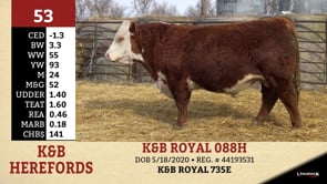 Lot #53 - K&B ROYAL 088H