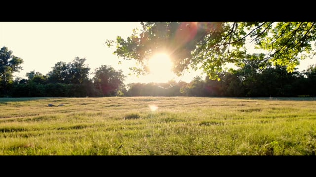Romeo Piccirilli / PSICOLOGO / PSICOTERAPEUTA - Klicken, um das Video zu öffnen