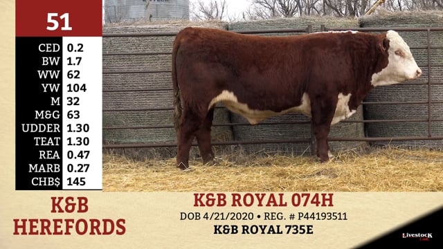 Lot #51 - K&B ROYAL 074H