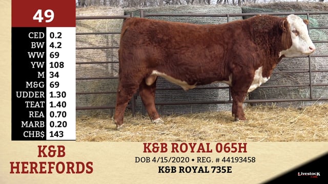 Lot #49 - K&B ROYAL 065H OUT OF SALE