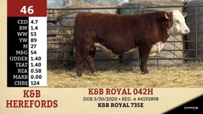 Lot #46 - K&B ROYAL 042H