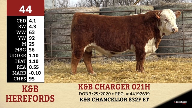 Lot #44 - K&B CHARGER 021H
