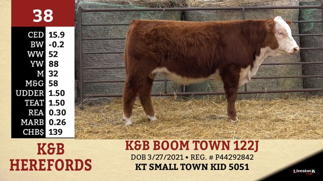 Lot #38 - K&B BOOM TOWN 122J