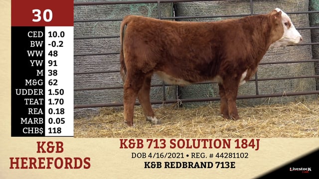 Lot #30 - K&B 713 SOLUTION 184J