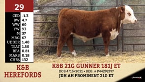 Lot #29 - K&B 21G GUNNER 181J ET